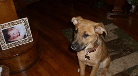 Timeline: Music Pass