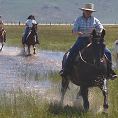 Timeline: Rancher, Farmer, and Other Agricultural Managment