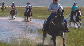 Timeline: Rancher, Farmer, and Other Agricultural Managment
