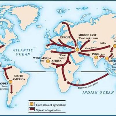 Timeline: 8000 BCE- Beginnings of agriculture