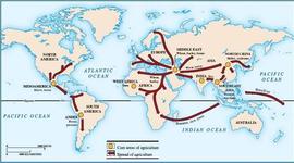 Timeline: 8000 BCE The Beginning of Agriculture