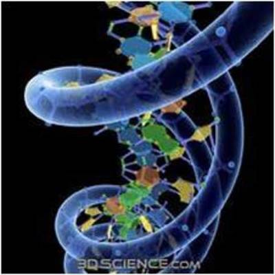 Timeline: Descubriendo el ADN