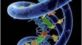 Timeline: Descubriendo el ADN