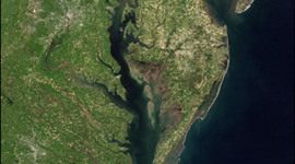 Timeline: History of the Cheaspeke Bay