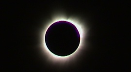 Timeline: On This Day