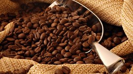 Timeline: Historia del café