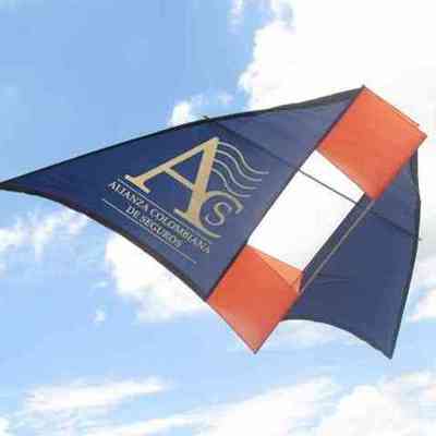 Timeline: BIOGRAFIA ARNULFO