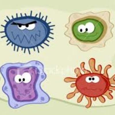 Timeline: THE GERM´S DISCOVERY