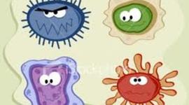 Timeline: THE GERM´S DISCOVERY