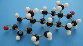 Timeline: If Johan Hyatt had not discovered plastic