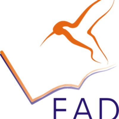 Timeline: A História do EaD no Brasil