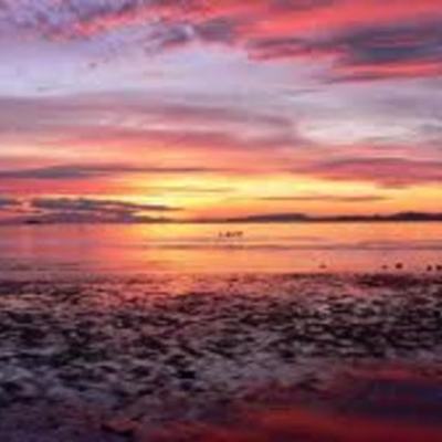 Timeline: Becca's Life Timeline