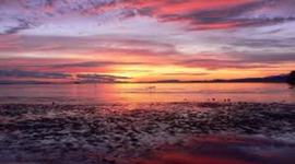 Timeline: Becca's Life Timeline