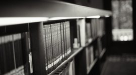 Timeline: Desarrollo de colecciones