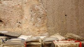 Timeline: DESARROLLO HISTÓRICO DE LA GESTIÓN DE COLECCIONES