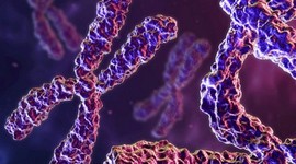 Timeline: Principales descubrimientos del DNA