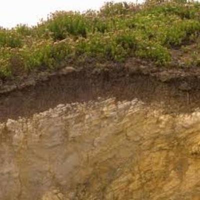 Timeline: Linea de tiempo de los suelos a nivel internacional