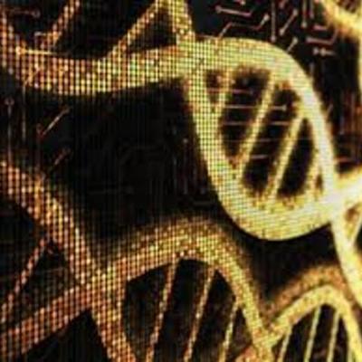 Timeline: Cronograma sobre los principales acontecimientos del DNA