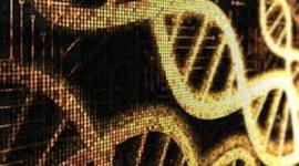 Timeline: Cronograma sobre los principales acontecimientos del DNA