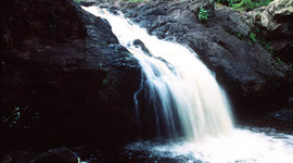 Timeline:  Clean Water Act timeline -- 40 years of protection and restoration