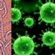 Germ theory