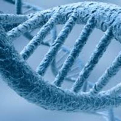 Timeline: Principales acontecimientos del dna