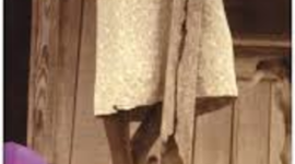 Timeline: The Color purple -Alice walker