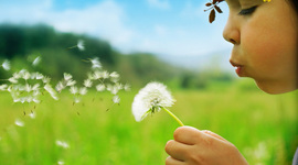 Timeline: Vida de Juliana