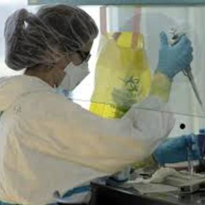 Timeline: WICKED's Horrible Beginning and End