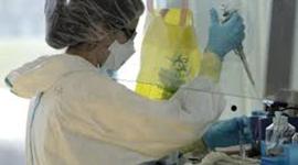 Timeline: WICKED's Horrible Beginning and End