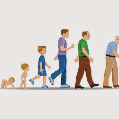 Timeline: Las Ocho Etapas de la Vida