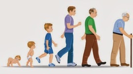 Timeline: Las Ocho Etapas de la Vida