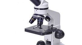 Timeline: The History of the Germ Theory of Disease