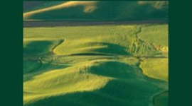 Timeline: How Much Land Does a Man Need?