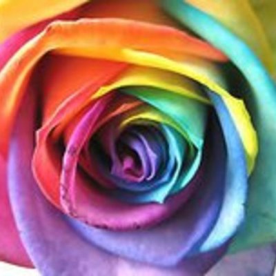 Timeline: Maria_del_Mar_Sánchez_Montero_Tarea_Global_1_6