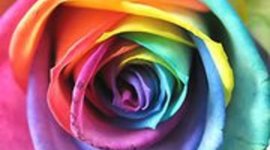 Timeline: Maria_del_Mar_Sánchez_Montero_Tarea_Global_1_6