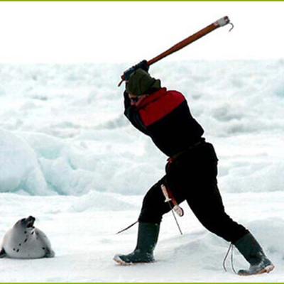 Timeline: ANIMALES EXINTOS POR ACCION DEL HOMBRE.