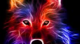 Timeline: Family Time Line