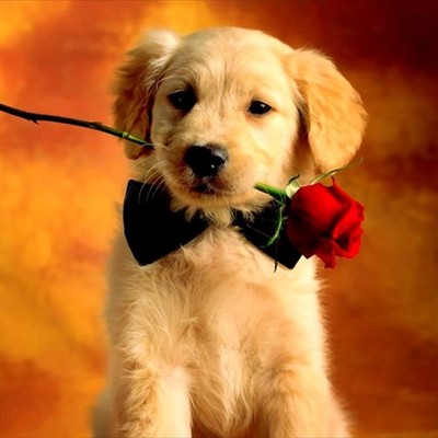 Timeline: My Family Timeline