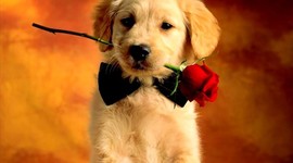 Timeline: My Family Timeline