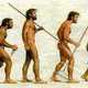 Evol human