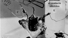 Timeline: transistor