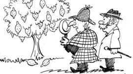 Timeline: Sherlock Holmes The Crooked Man By Tom Hanks