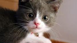 Timeline: My Reading Log 2014