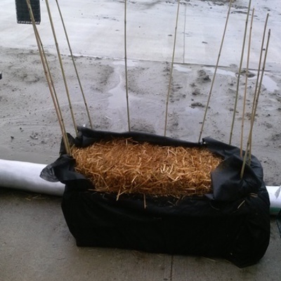 Timeline: Beginning straw bale garden see https://www.youtube.com/watch?v=UXcA99xGHwQ
