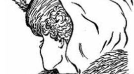 Timeline: Final Project: Multiple Perspectives Unit