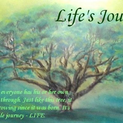 Timeline: Nic's Life Long Journey