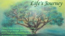 Timeline: Nic's Life Long Journey