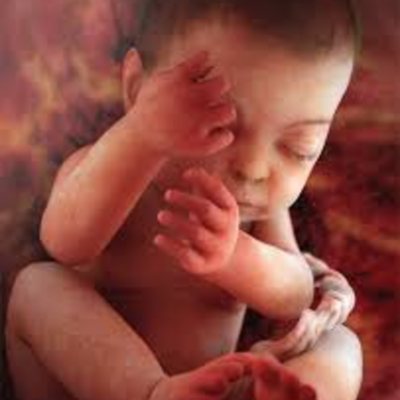 Timeline: third trimester