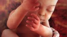 Timeline: third trimester